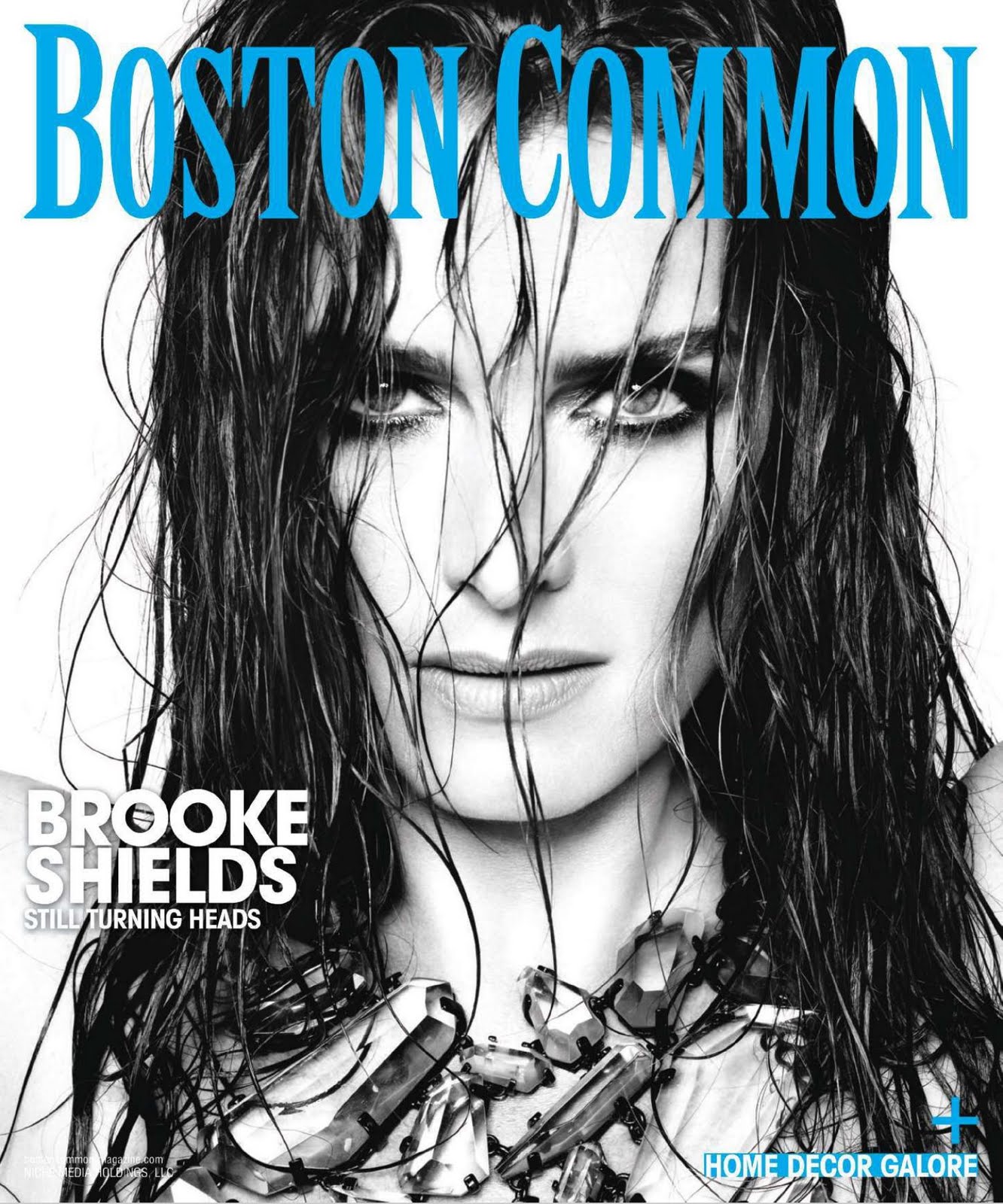 Brooke+Shields+by+Ruven+Afanador+%28Boston+Common+Magazine+May-June+2010%29.jpg