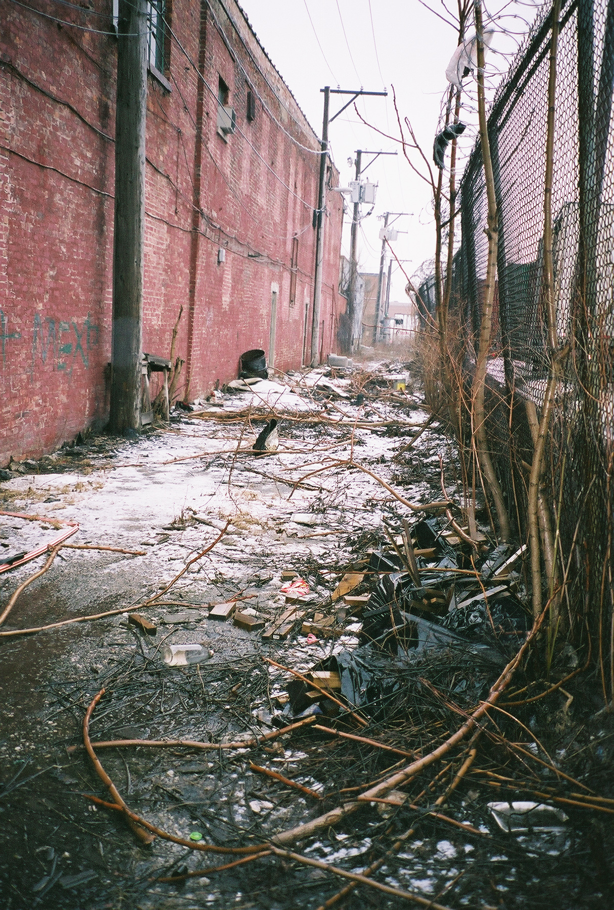 back_alley.jpg