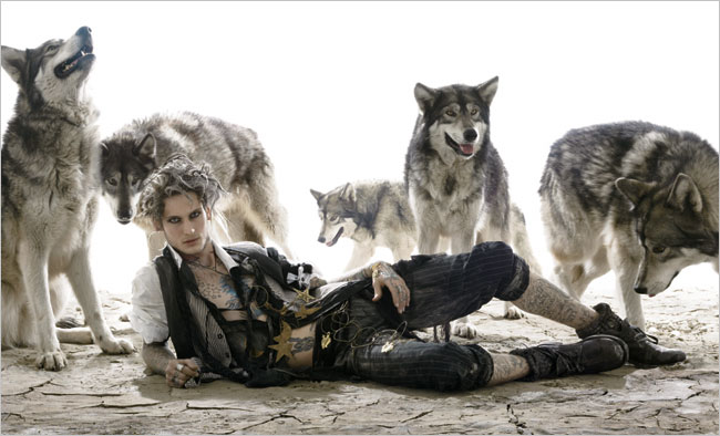 11wolf_slide04.jpg