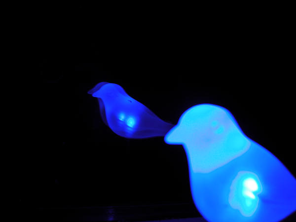 Blue_birds_by_Siafia.jpg