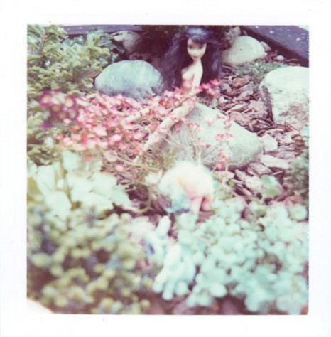 POLA_453_11491554347_l.jpg