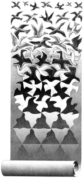 liberation_jpg_Large.jpg