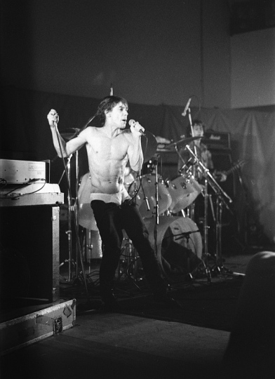 IggyPop1979.jpg