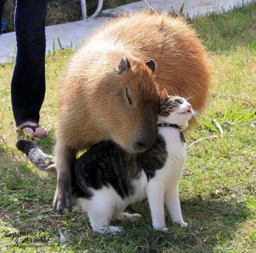 tumblr_mj01niY7G31qdlbuqo1_500.jpg