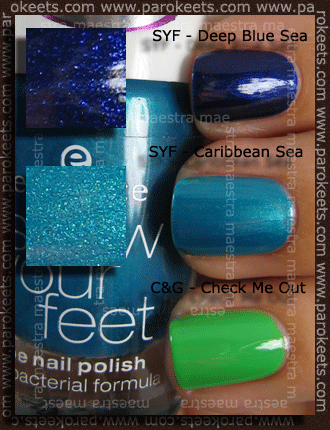 checkmeout-caribbean-deepblue-1b.gif