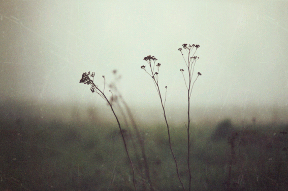 untitled_II_by_stanislaw.jpg