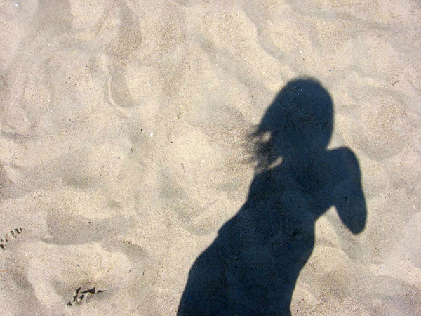 shadow-copy.jpg