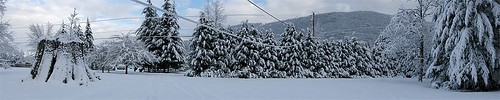 485491399_d542d8585b.jpg