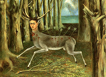 1022581083_large-image_fkwoundeerlg.jpg