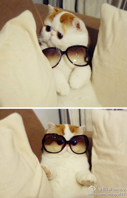 tumblr_m22h2qhwn61qcxyrro1_500.jpg