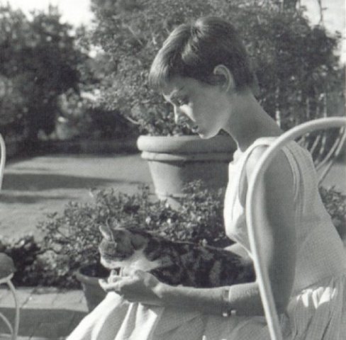 Audrey-audrey-hepburn-14961390-488-480.jpg