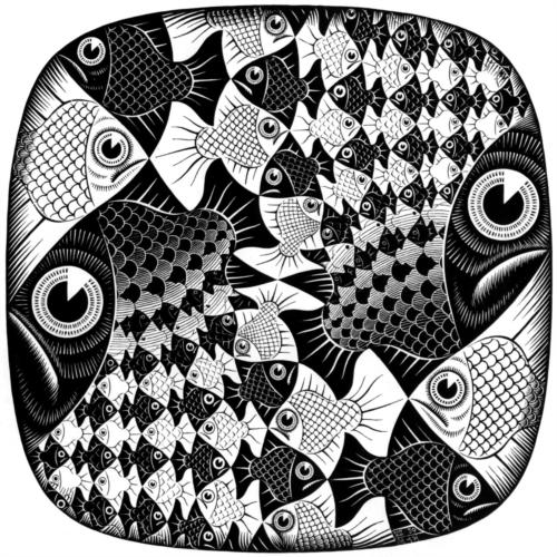 fishes_and_scales_jpg_Blog.jpg