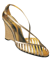 image1.gif