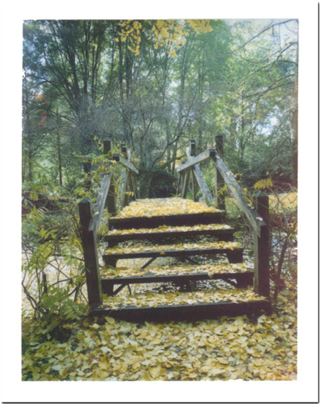 POLA_12_11484533346_l.jpg