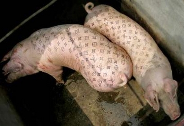 louis_vuitton_pigs.jpg