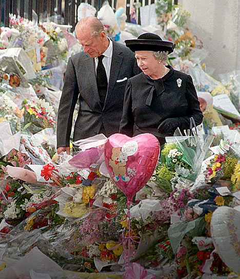 DMDianaP353008_468x544.jpg