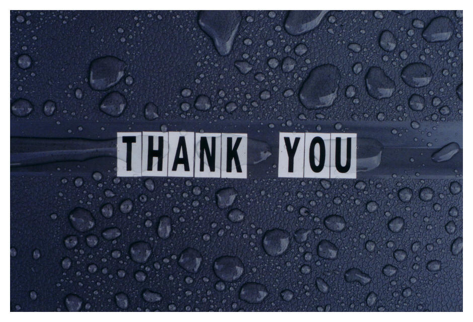 Thank_You_by_vitriolata.jpg