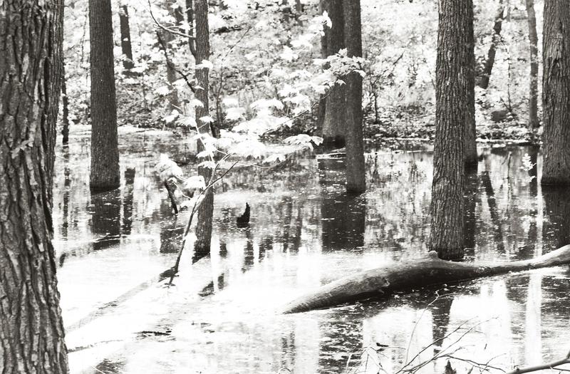 104646_800w.jpg
