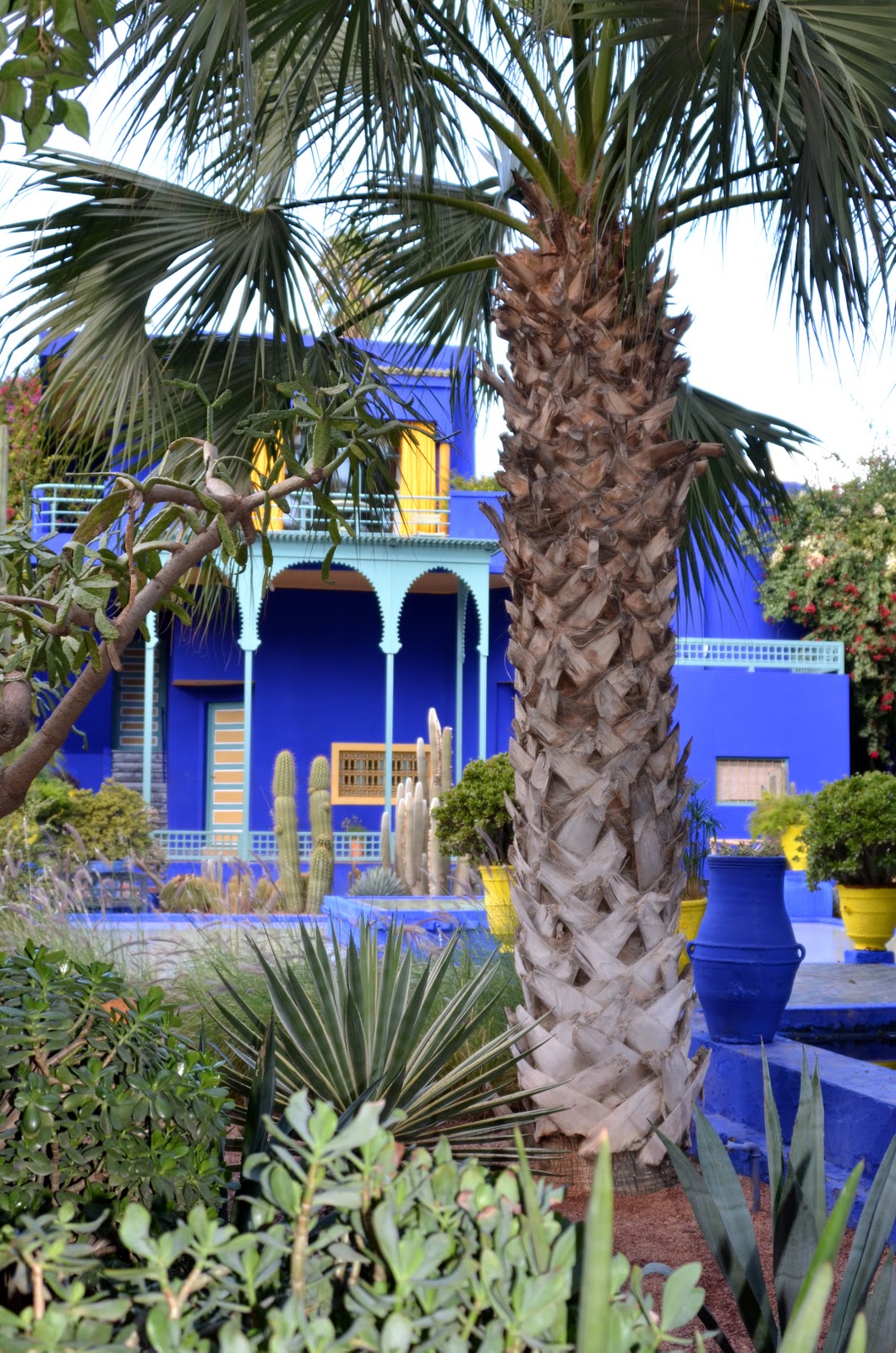 majorelle1.jpg