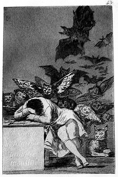 Goya_Cap_D80_Sleep_Reason.jpg