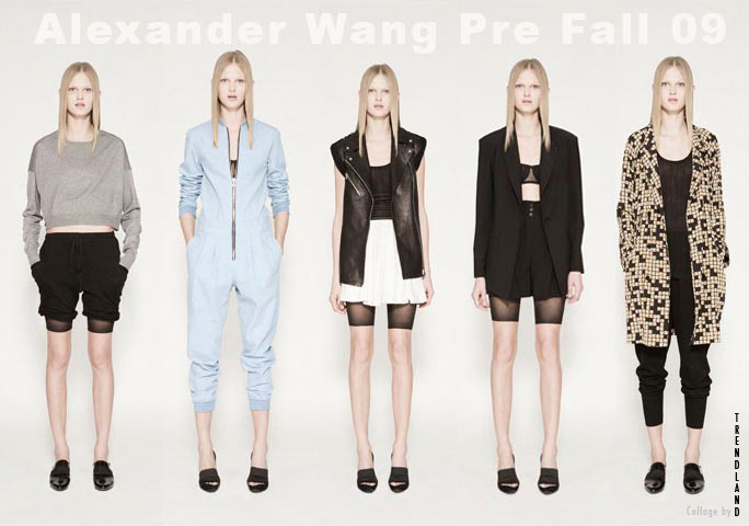 alexander-wang-pre-fall-09-collection.jpg
