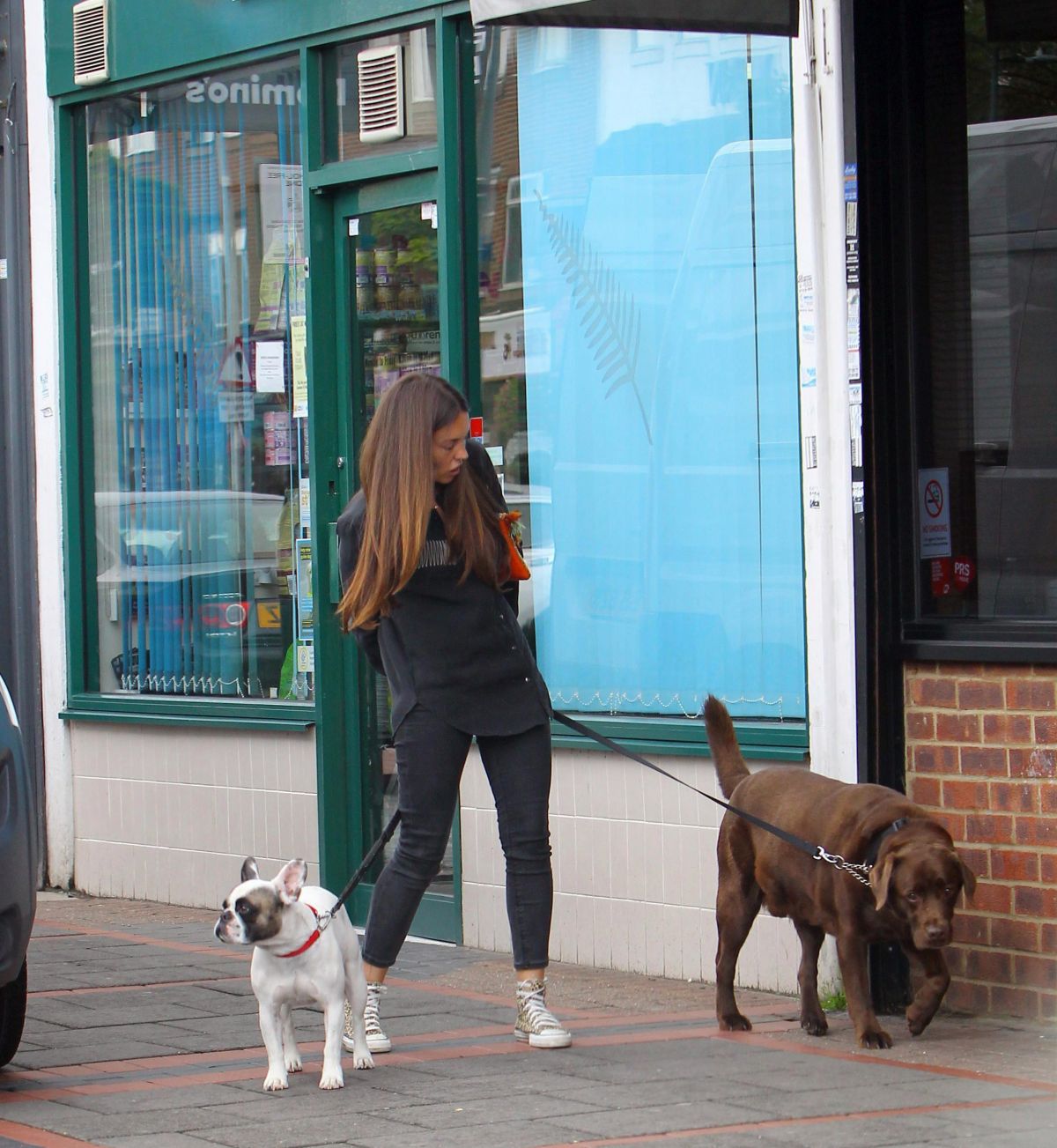 lacey-turner-out-with-her-dogs-in-london-10-02-2017-0.jpg
