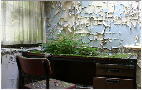cane-hill-1.jpg