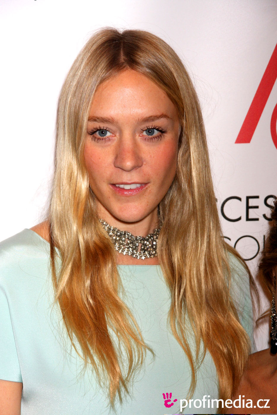 Chloe Sevigny | Page 340 | the Fashion Spot