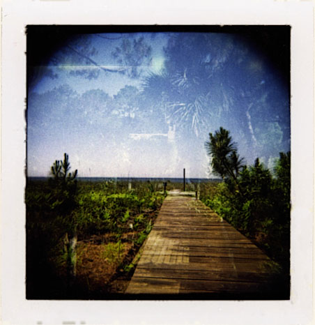 POLA_1746_11487786901_l.jpg