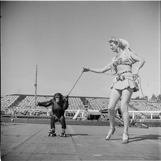 circus_woman_with_a_monkey_on_roller_skates.jpg