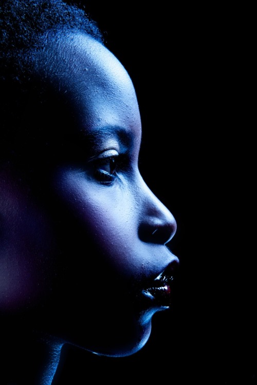 tumblr_lneqw2LQ081qiqauyo1_500.jpg