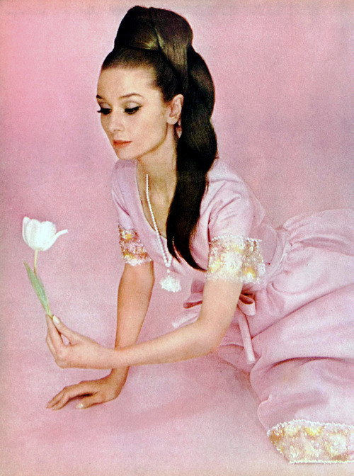 Audrey-audrey-hepburn-13524100-500-672.jpg