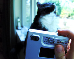 506284323_bfc1f28487_m.jpg
