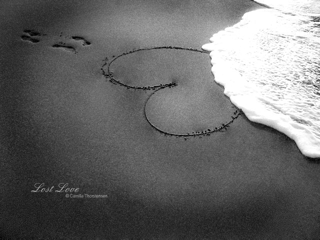 Lost_Love_by_CamillaTheSmilie.jpg