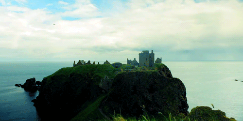 tumblr_m8tf18bxeh1qag1wuo6_500.gif