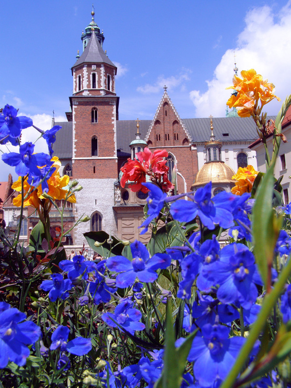P6240122_Krakow-copy.jpg