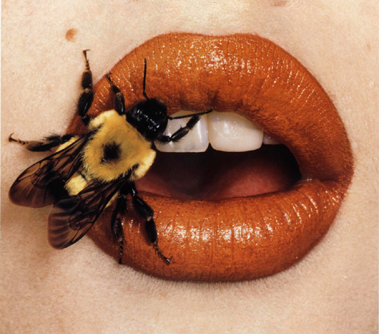 irving_penn_bee_on_lips_1995.jpg