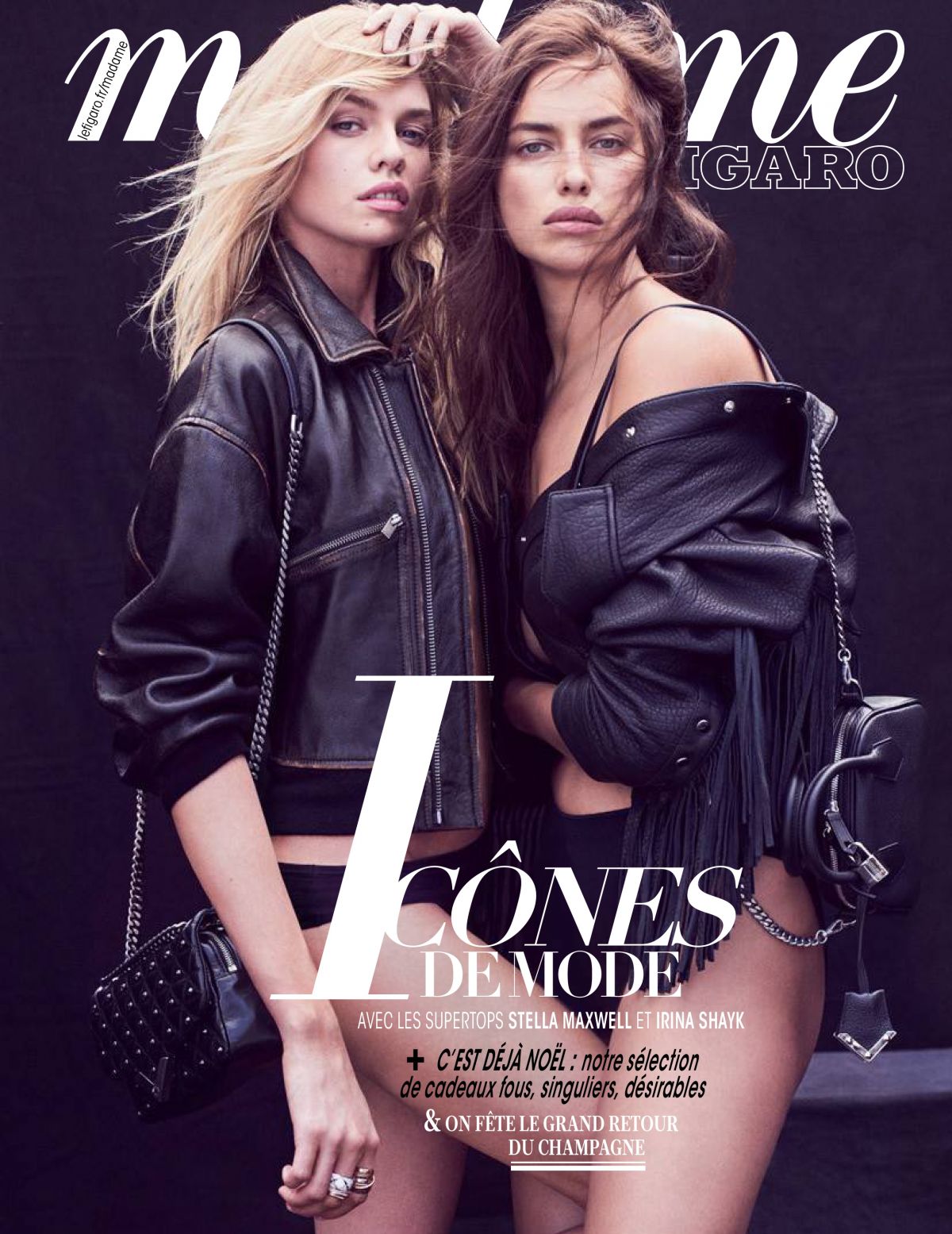 stella-maxwell-and-irina-shayk-in-madame-figaro-november-2018-8.jpg